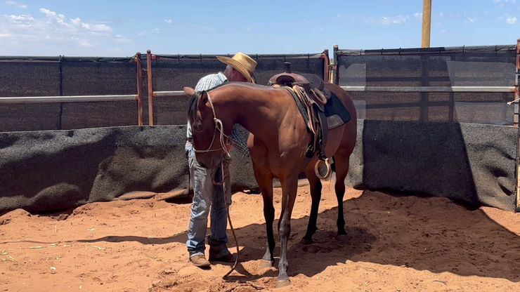 Delamak Spinning Brooke